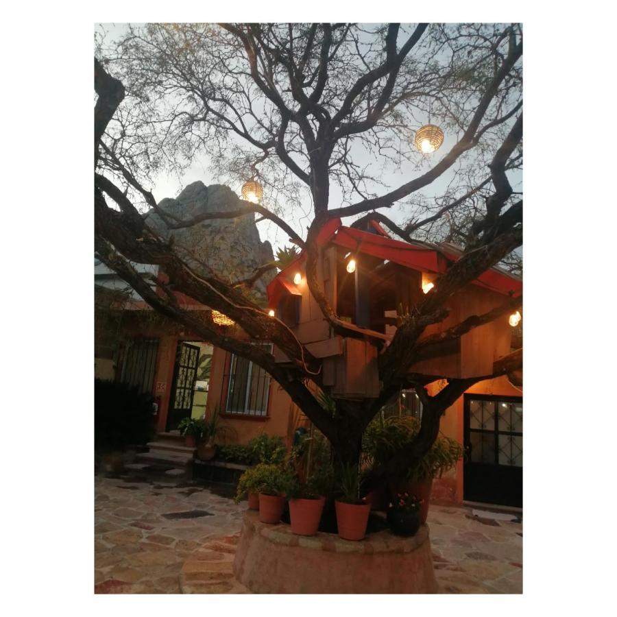 Hotel Casa Del Arbol Bernal Exterior foto